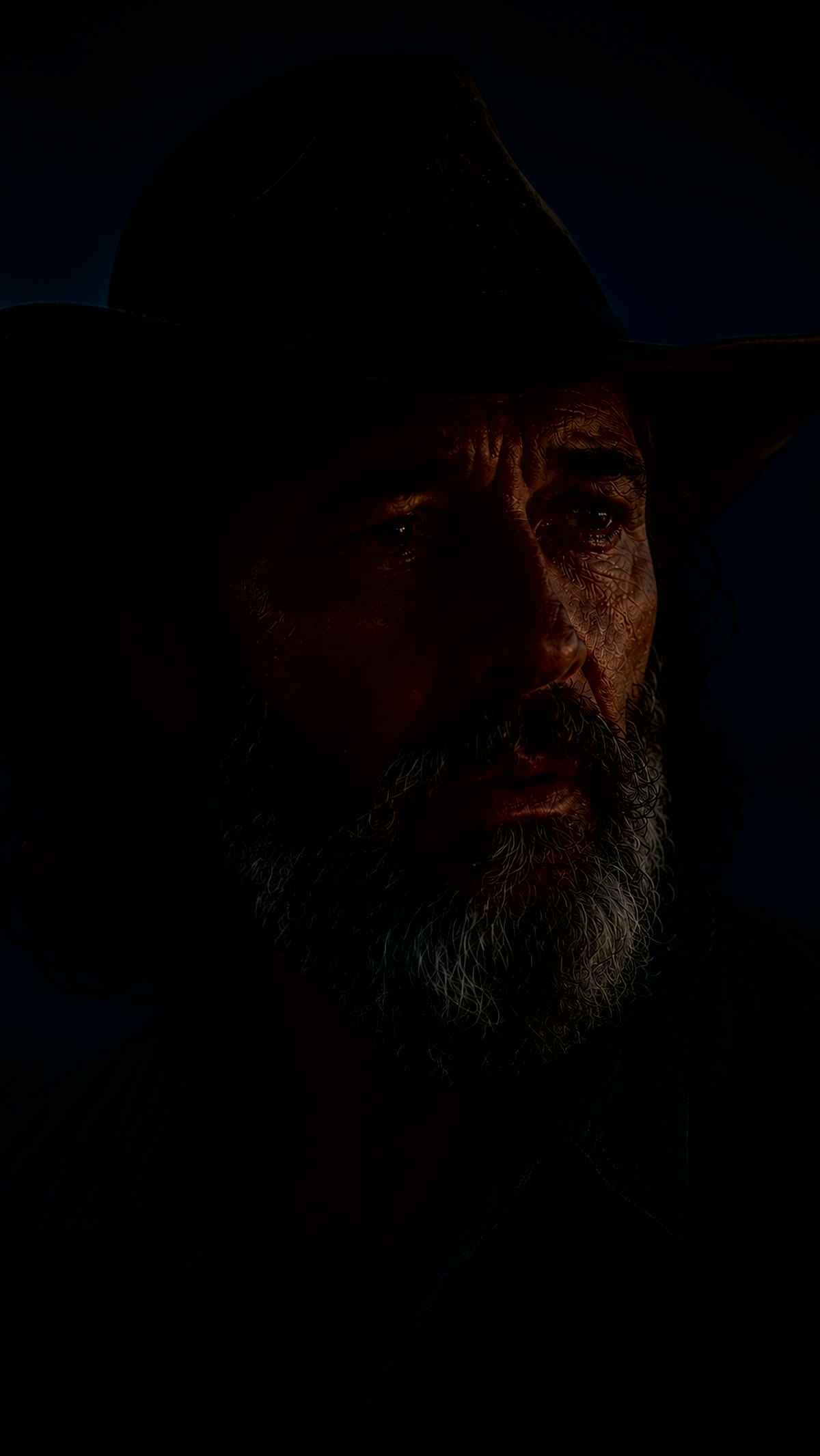 Retrato placeholder da Banda Dark Sertanejo